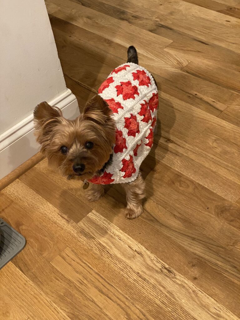 Image #1 from Brooke F.