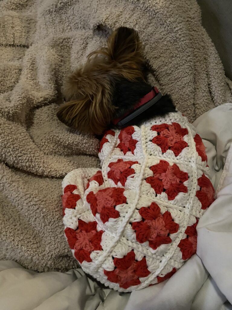 Image #2 from Brooke F.