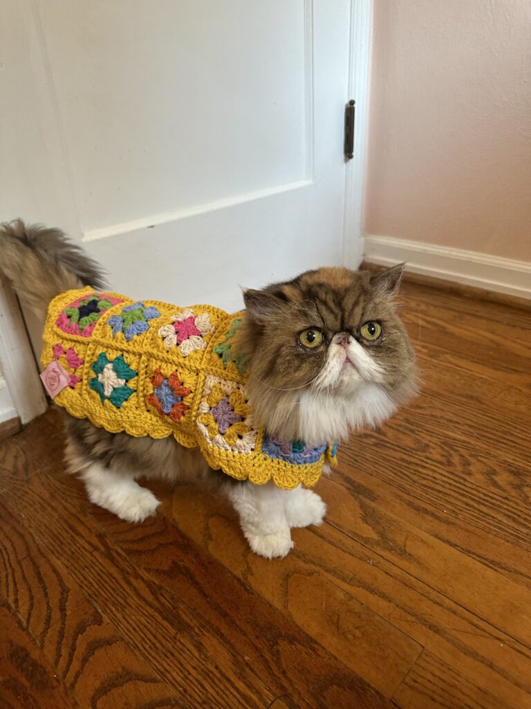 Image #2 from Malorie R.