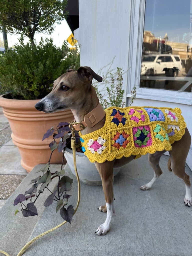 Image #1 from Malorie R.