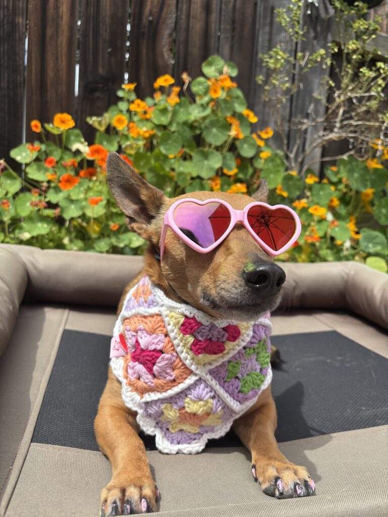 Image #2 from Olivia R.