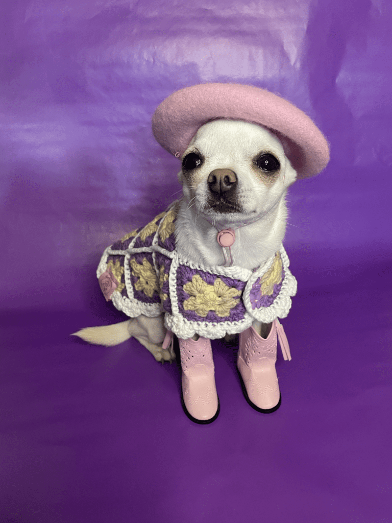 Image #1 from Meredith H.