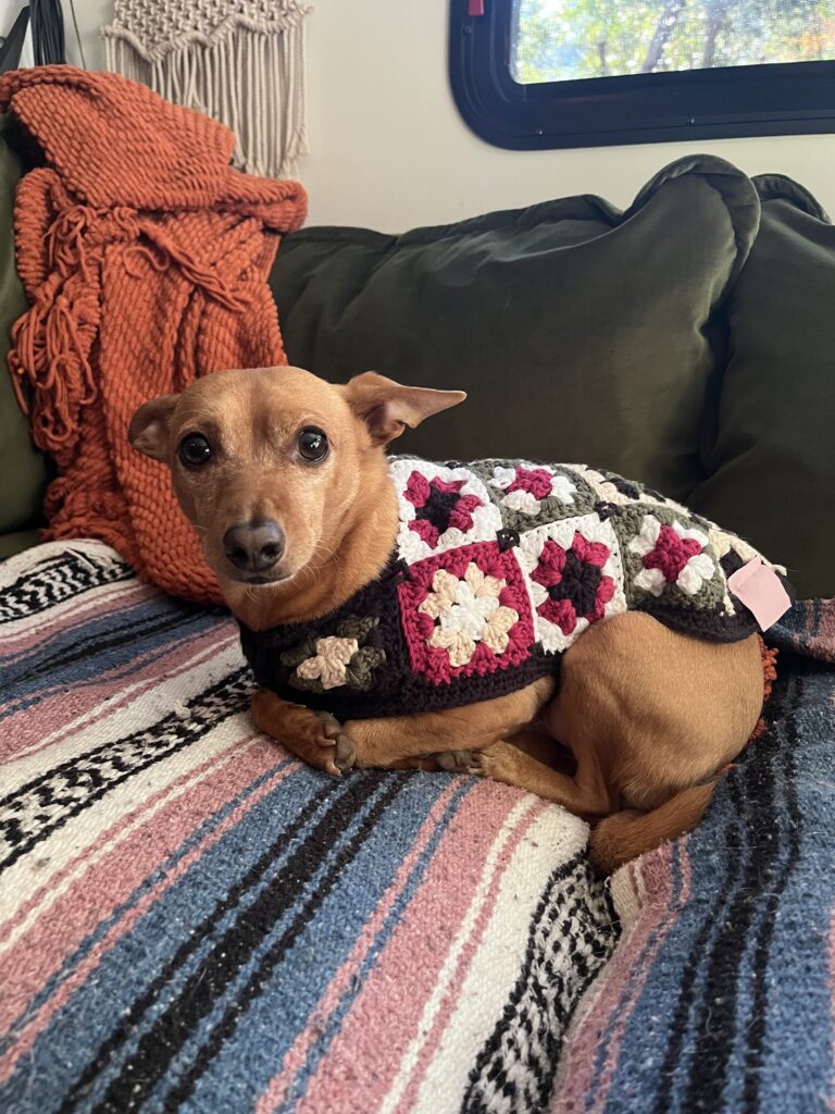 Image #1 from McKenna O.