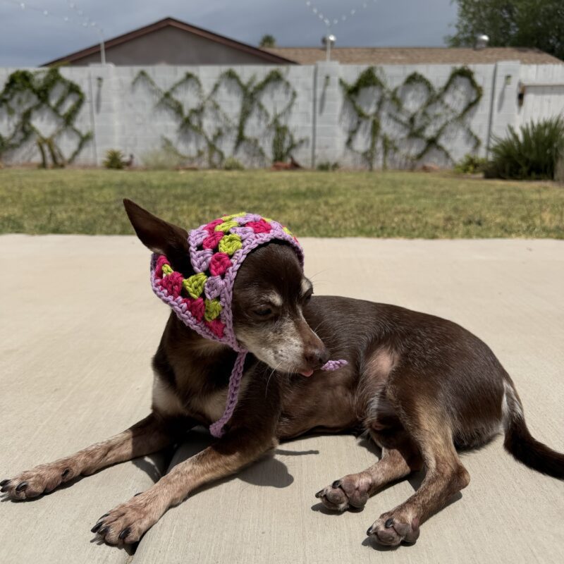 Babushka Bandana